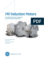 MV Induction Motors: Power Conversion