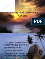 Voluntary and Involuntary Action