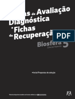 Fichas de avaliação diagnóstica e fichas de recuperação.pdf