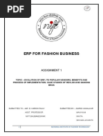 Erp For Fashion Business: Assignment 1