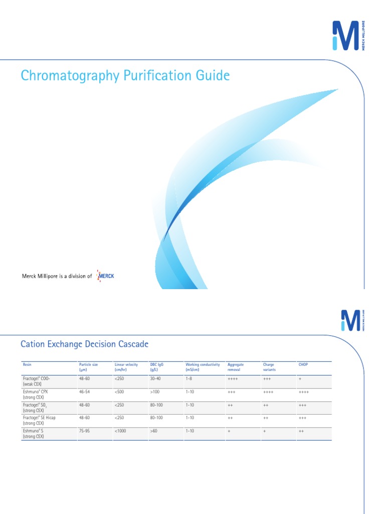 Ion Exchange Protein Purification Pdf – RRZC