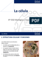 Tema 1. La Celula. Presentacion PDF