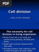 Download CELL DIVISION by ridwan SN4801588 doc pdf