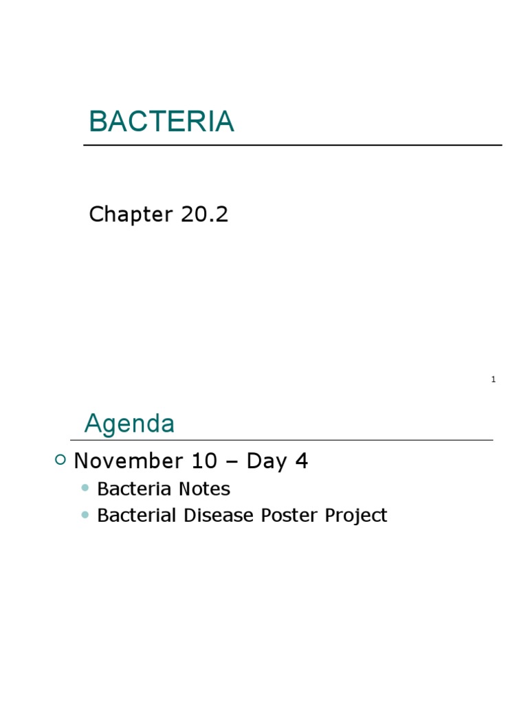 Bacteria 3 Pdf Bacteria Pathogen