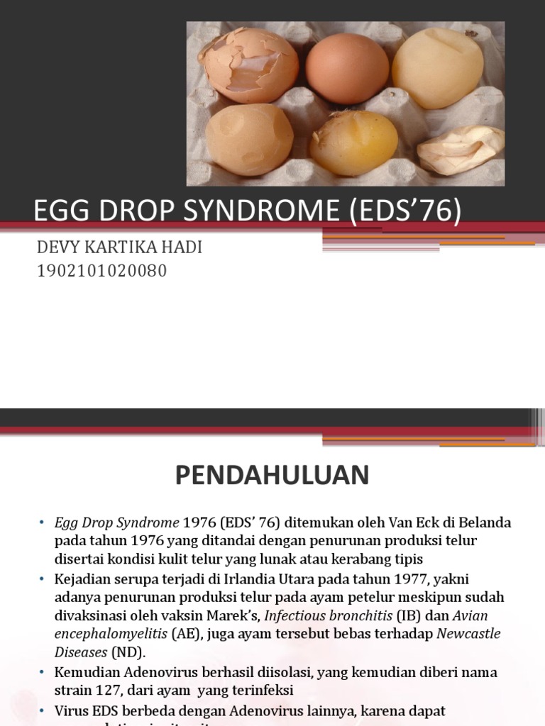 Egg Drop Syndrome (Eds'76) PDF