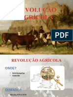 Revolução Agrícola: inovações e impactos