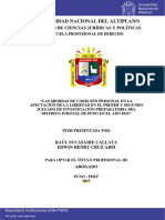 Las Medidas de Coerción Personal en N Preparatoria Del Distrito Judicial de Puno en El Año 2015 PDF
