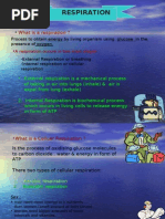 Download RESPIRATION by ridwan SN4801814 doc pdf