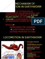 Locomotion in Earthworm
