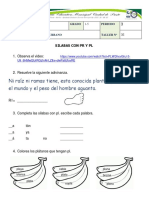 Taller 35 Siabas Con PR y PL