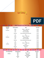 Presentasi Urine