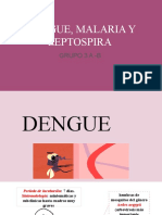 Dengue, Malaria, Leptospira