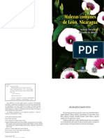 Malezas Comunes Leon Nicaragua 141127161644 Conversion Gate01 PDF