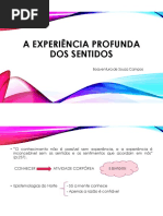 A experiência profunda dos sentidos.pdf