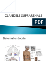 Suprarenale-pt studenti (1)