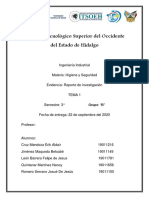 Reporte de Investigacion Higiene y Seguridad PDF