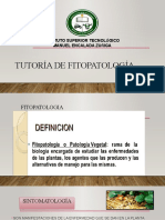 Tutoría de Fitopatología