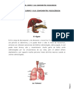 Órganos Del Cuerpo y Sus Componentes Psicológicos