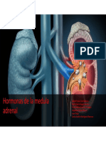 Exposición Bioquimica PDF