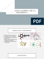 Naturaleza Química de La Epinefrina