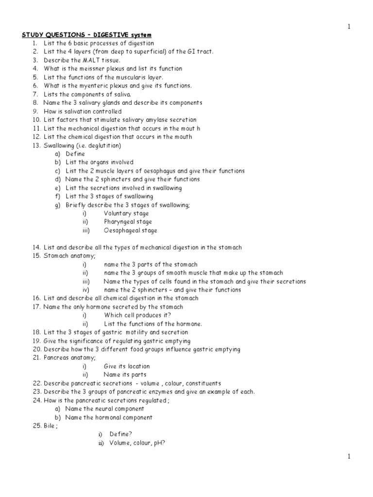 STUDY QUESTIONS - Digestive System | PDF | Gastrointestinal Tract | Stomach