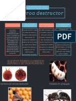 Plagas de Apis Mellifera PDF