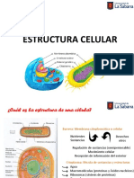 Clase 3 Generalidades (2020-2) TEAMS.pdf