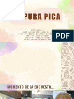 D` PURA PICA