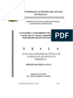 Taxonomia y Conocimiento Tradicional PDF