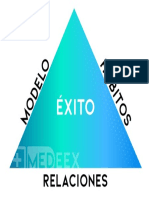 3.triangulo Exito 11 PDF