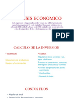 Analisis Economico