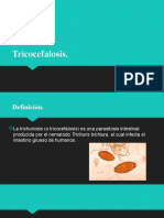 Tricocefalosis