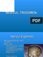 Nervul Trigemen
