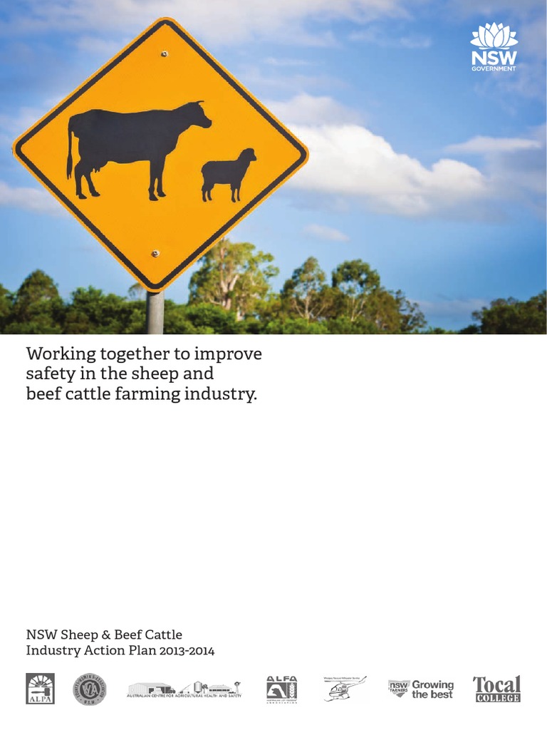 Sheep and Beef Cattle Action Plan 4516 PDF Occupational Safety And