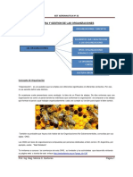 Unidad I - Teoría de La Organizacion PDF