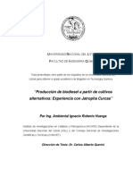 Tesis PDF