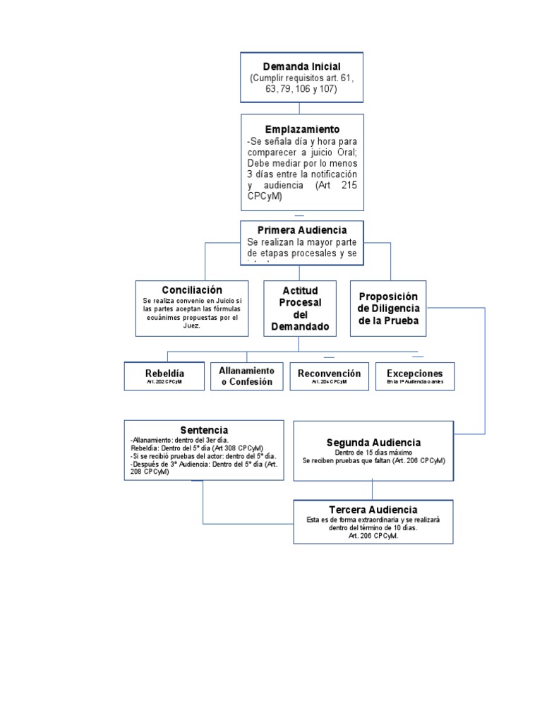 Esquema Juicio Oral de Alimentos | PDF