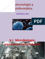 Biotecnología y Bioinformática Opción B