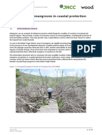 The role of mangroves in coastalprotection, 2020