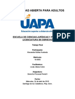 Trabajo Final, Derecho Procesal Penal II