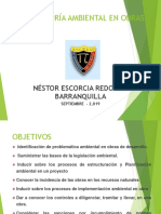 INTERVENTORIA AMBIENTAL - Ing. Nestor Escorcia Redondo