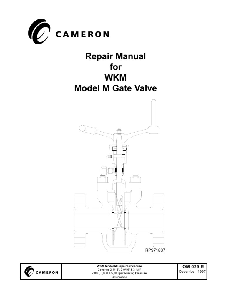 5WKM Valves Cameron Valve Bearing (Mechanical)