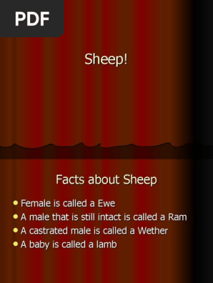 Sheep Breeds