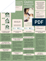 0000000412cnt-folleto-lactancia-materna (1).pdf