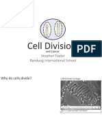 Cell Division