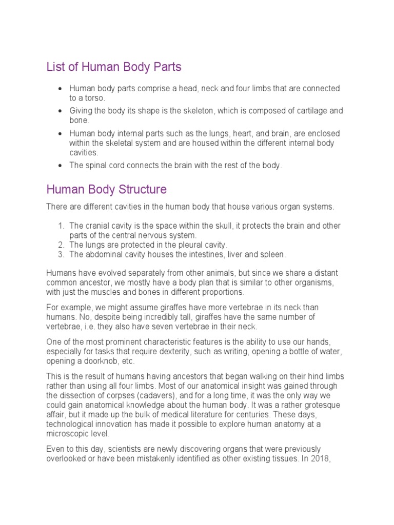 Human Body Parts and Systems Overview | PDF | Reproductive System ...