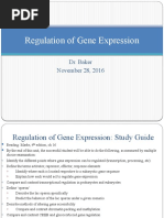 Regulation of Gene Expression