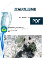 Metabolisme Panda Raksasa