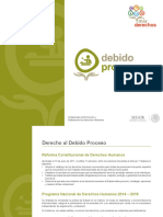 015-Debido-Proceso.pdf