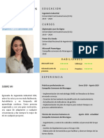 CV Alejandra Flores